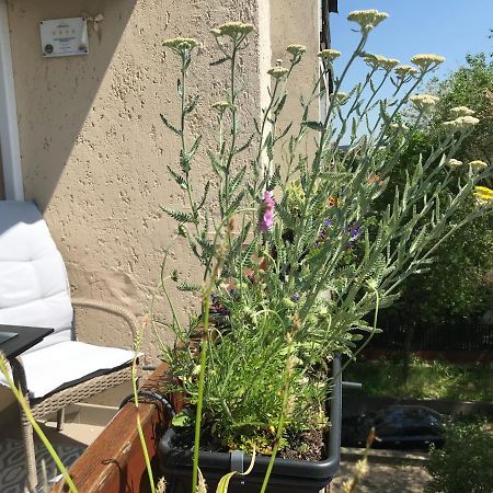 Greatforest Rosehill 1 Apartman Debrecen Eksteriør billede